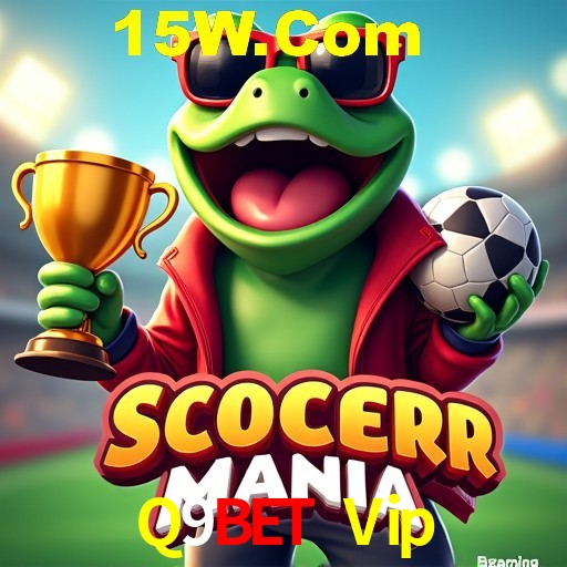 Apostas Esportivas na Q9Bet Vip: Um Guia Completo