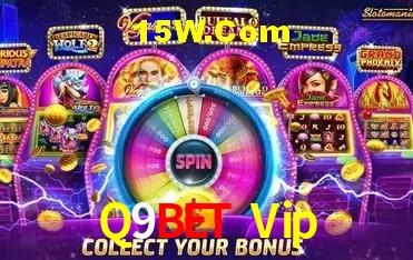 Sistemas de Segurança Q9Bet Vip