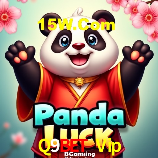 Interface do App Q9Bet Vip